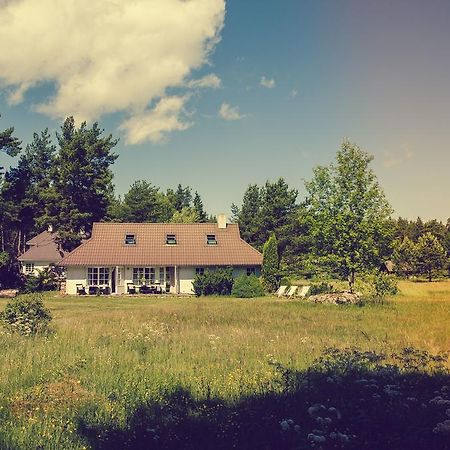 Adami Country Guesthouse Vainupea Exteriör bild