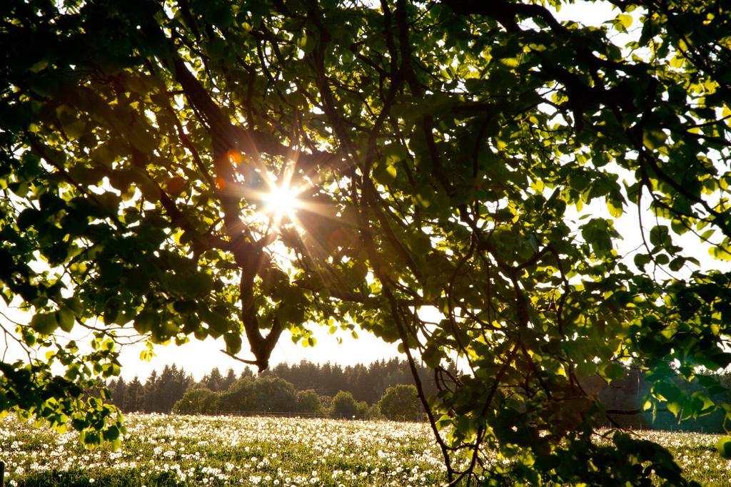 Adami Country Guesthouse Vainupea Exteriör bild