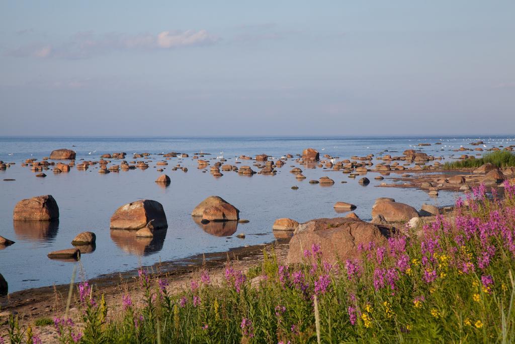 Adami Country Guesthouse Vainupea Exteriör bild