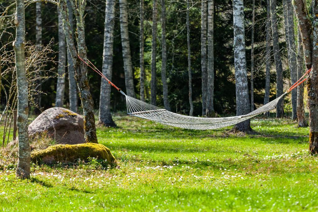 Adami Country Guesthouse Vainupea Exteriör bild