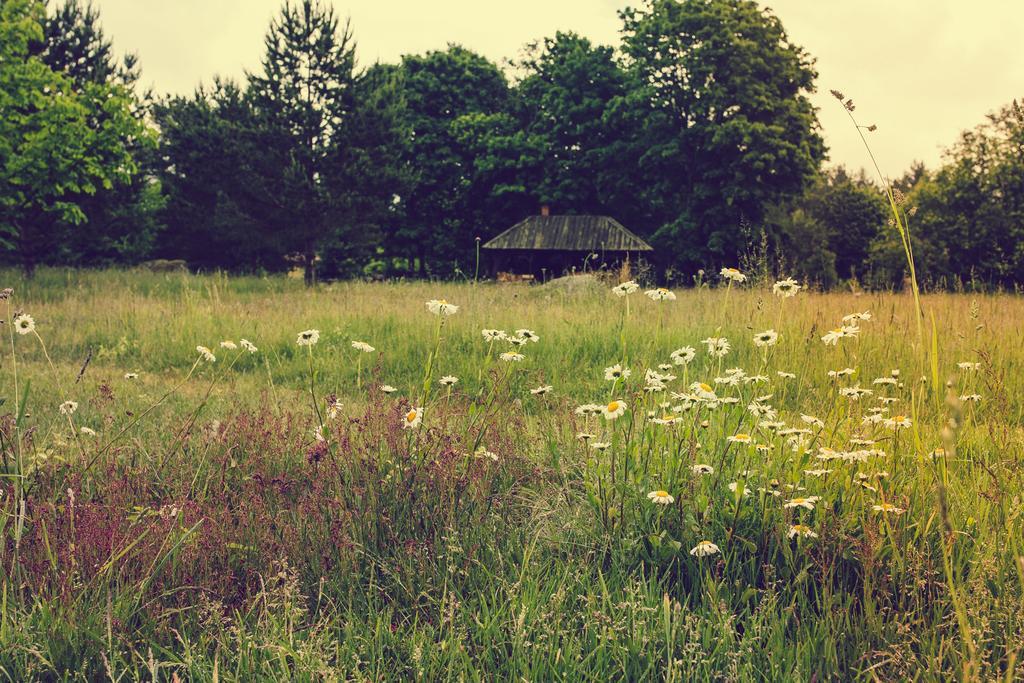 Adami Country Guesthouse Vainupea Exteriör bild