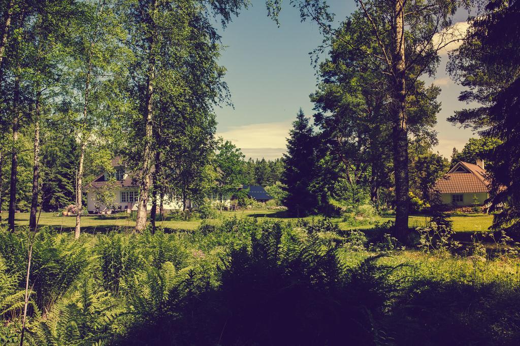Adami Country Guesthouse Vainupea Exteriör bild