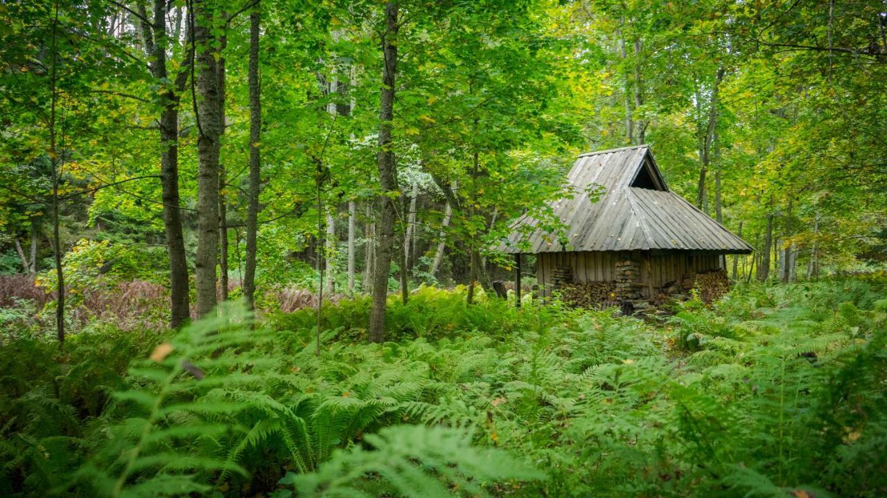 Adami Country Guesthouse Vainupea Exteriör bild
