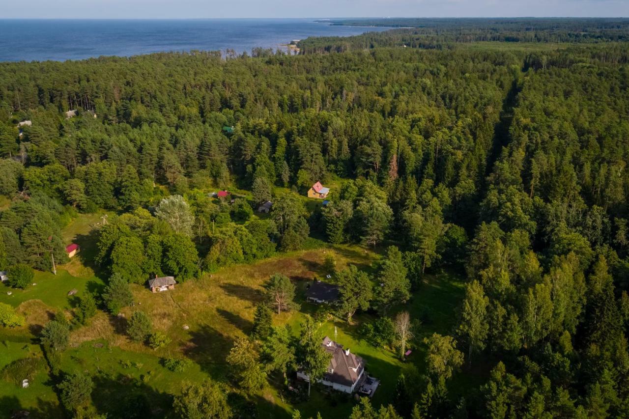 Adami Country Guesthouse Vainupea Exteriör bild