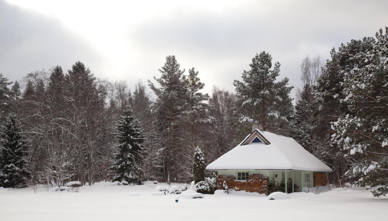 Adami Country Guesthouse Vainupea Exteriör bild