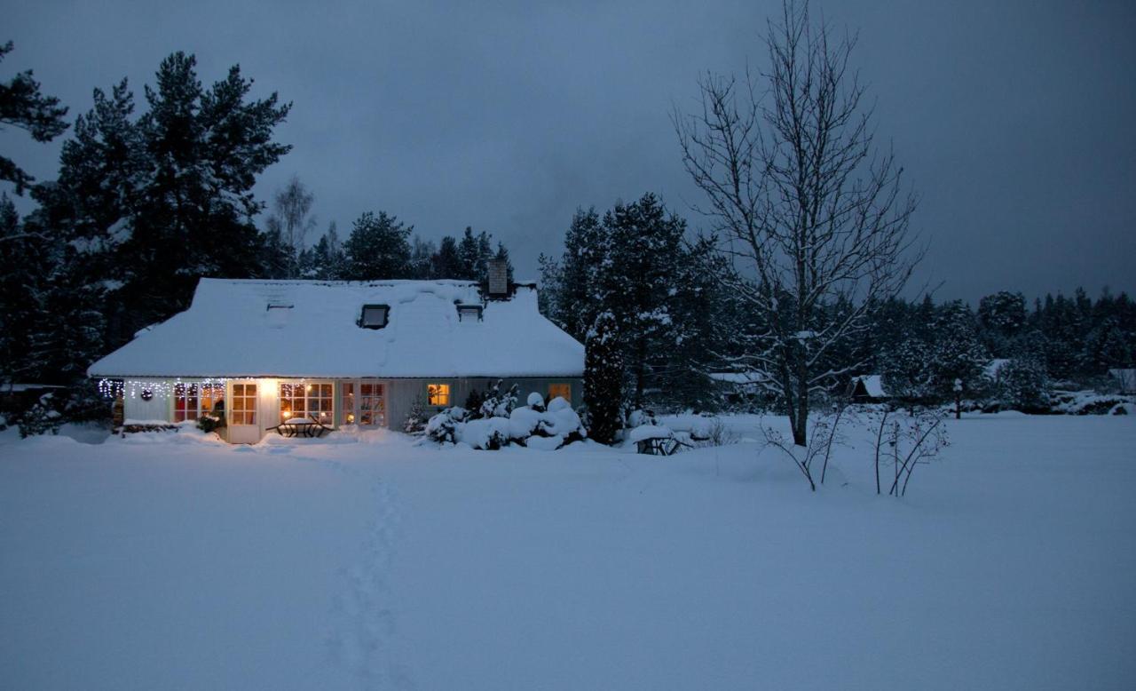Adami Country Guesthouse Vainupea Exteriör bild
